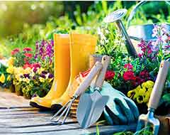 Home & Garden