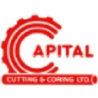 Pippit AI - Powered by CapCut Affiliate Program